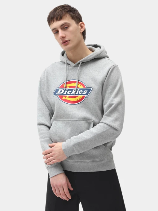 Худі та світшоти Dickies Icon Logo модель DK0A4XCBGYM1 Фото
