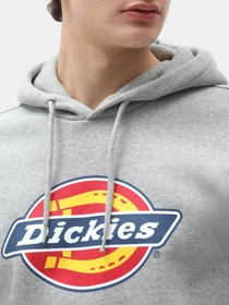 Худи и свитшоты Dickies Icon Logo модель DK0A4XCBGYM1 Фото