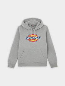Худи и свитшоты Dickies Icon Logo модель DK0A4XCBGYM1 Фото