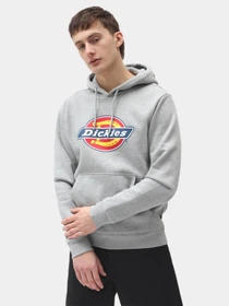 Худі та світшоти Dickies Icon Logo модель DK0A4XCBGYM1 Фото