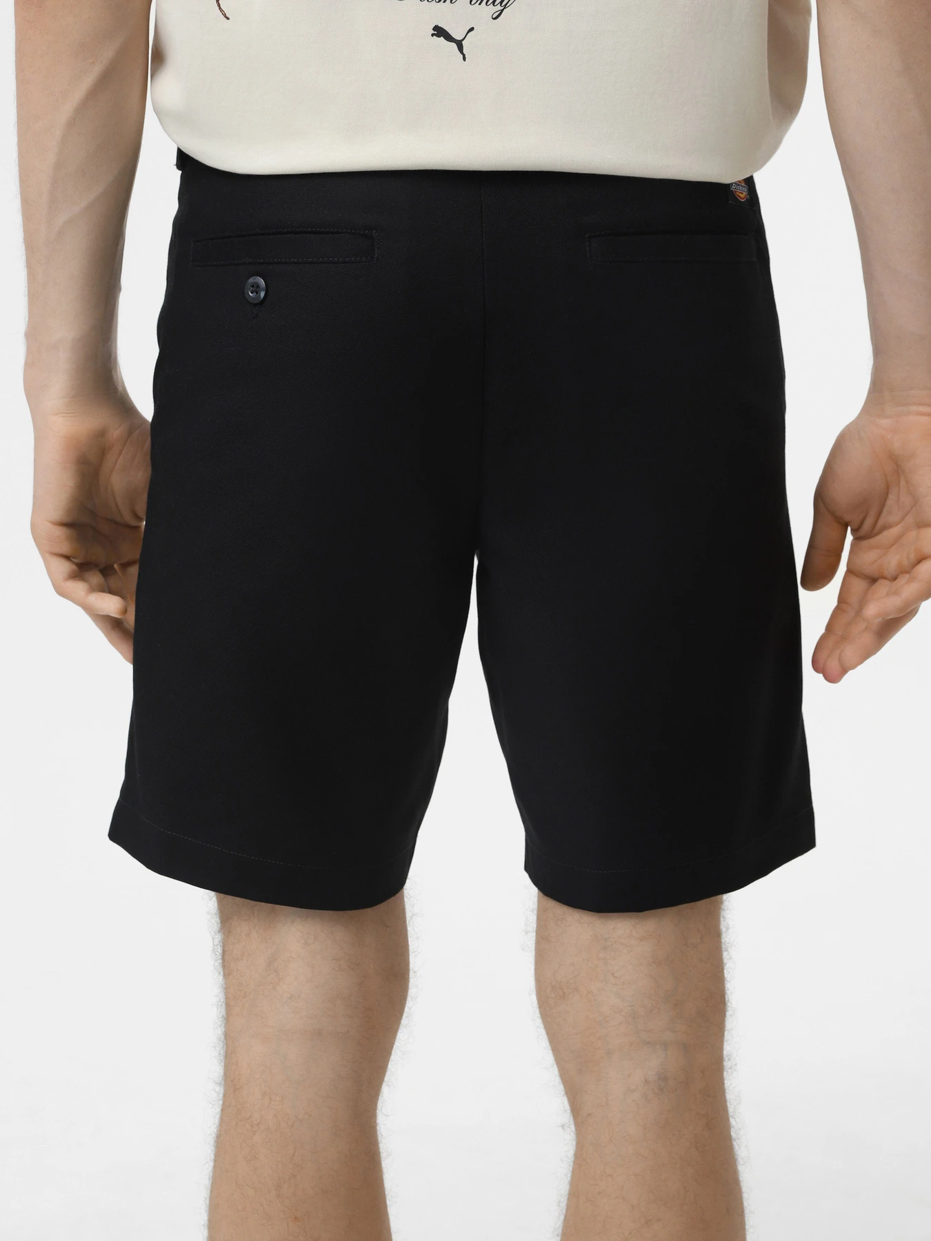 Шорти Dickies Cobden модель DK0A4XESBLK1 Фото