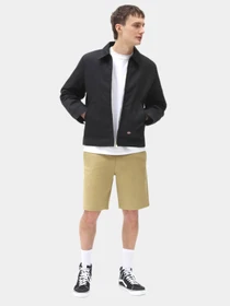 Шорты Dickies Cobden модель DK0A4XESKHK1 Фото