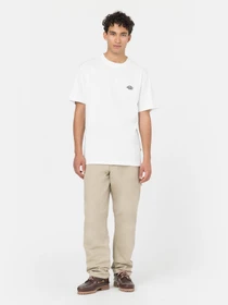 Штани Dickies Duck Carpenter модель DK0A4XIFF021 Фото