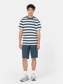 Шорты Dickies Slim Fit Rec модель DK0A4XNFAF01 Фото