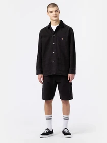 Шорти Dickies Duck Canvas модель DK0A4XNGC401 Фото