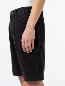 Шорти Dickies Duck Canvas модель DK0A4XNGC401 Фото