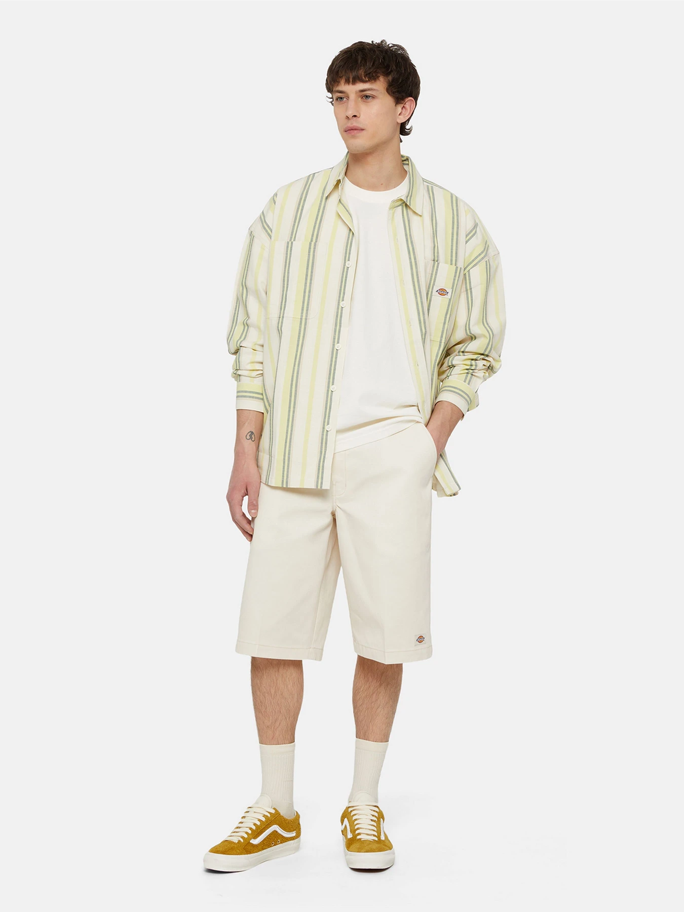 Шорти Dickies 13in Mlt Pkt /St Rec модель DK0A4XOZF901 Фото