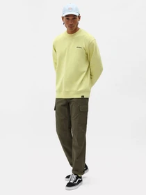 Штани Dickies Millerville модель DK0A4XDUMGR1 Фото