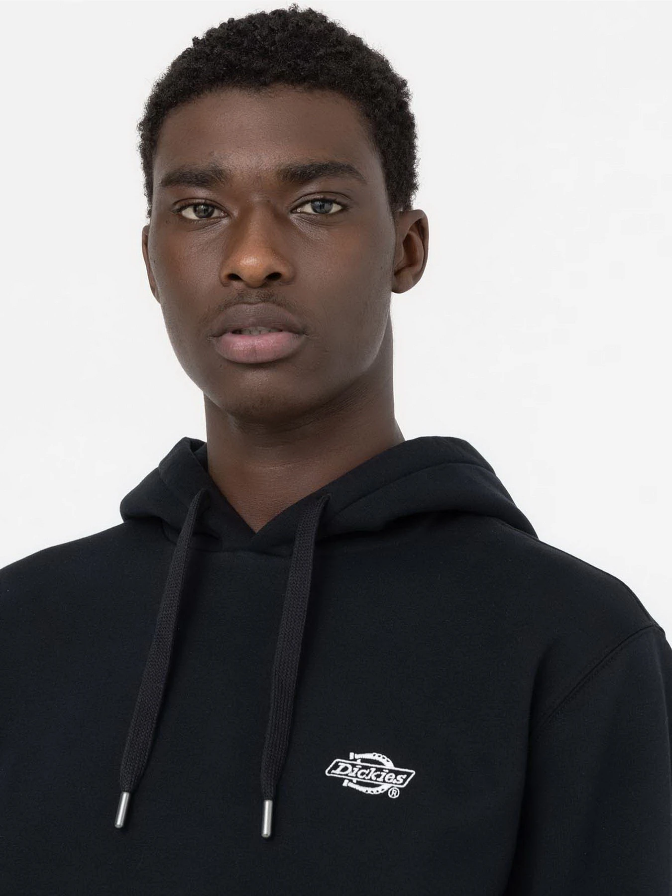 Худи и свитшоты Dickies Summerdale модель DK0A4Y6PBLK1 Худи и свитшоты Dickies Summerdale модель DK0A4Y6PBLK1 Фото