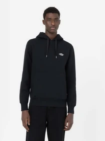 Худи и свитшоты Dickies Summerdale модель DK0A4Y6PBLK1 Фото