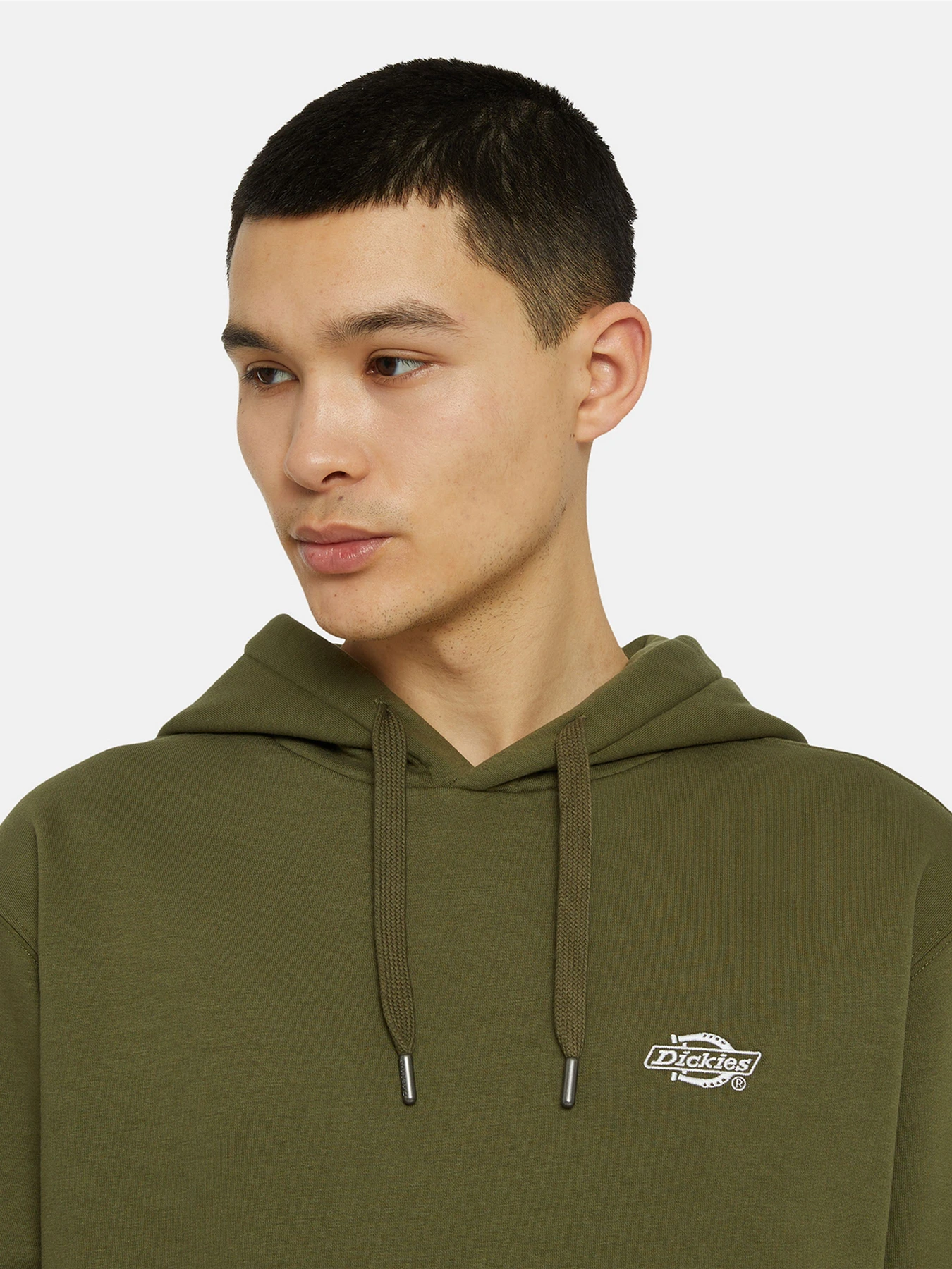 Худі та світшоти Dickies Summerdale модель DK0A4Y6PMGR1 Худі та світшоти Dickies Summerdale модель DK0A4Y6PMGR1 Фото