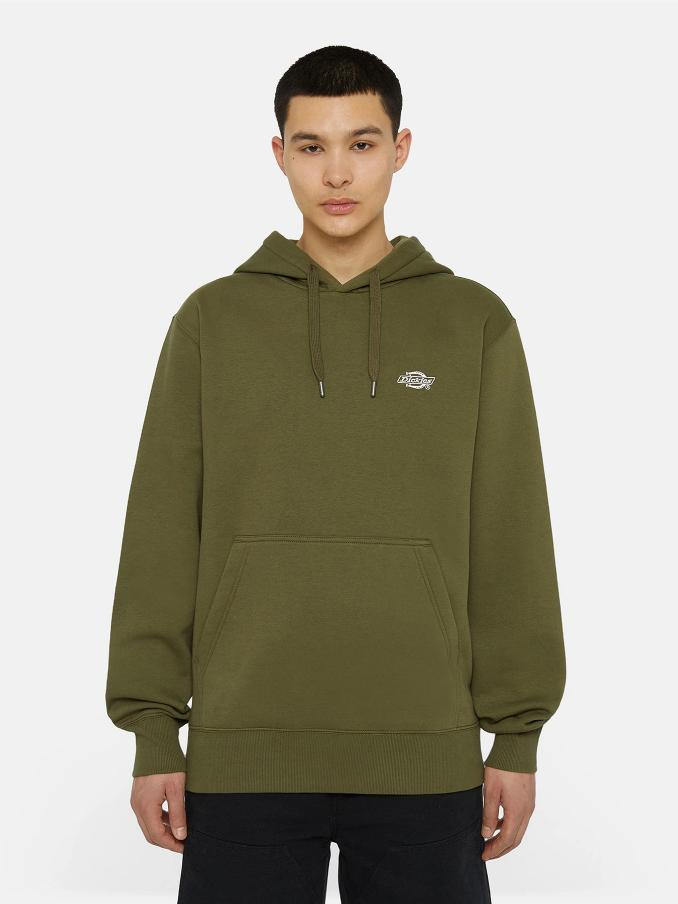 Худі та світшоти Dickies Summerdale модель DK0A4Y6PMGR1 Худі та світшоти Dickies Summerdale модель DK0A4Y6PMGR1 Фото