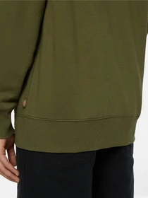 Худі та світшоти Dickies Summerdale модель DK0A4Y6PMGR1 Фото