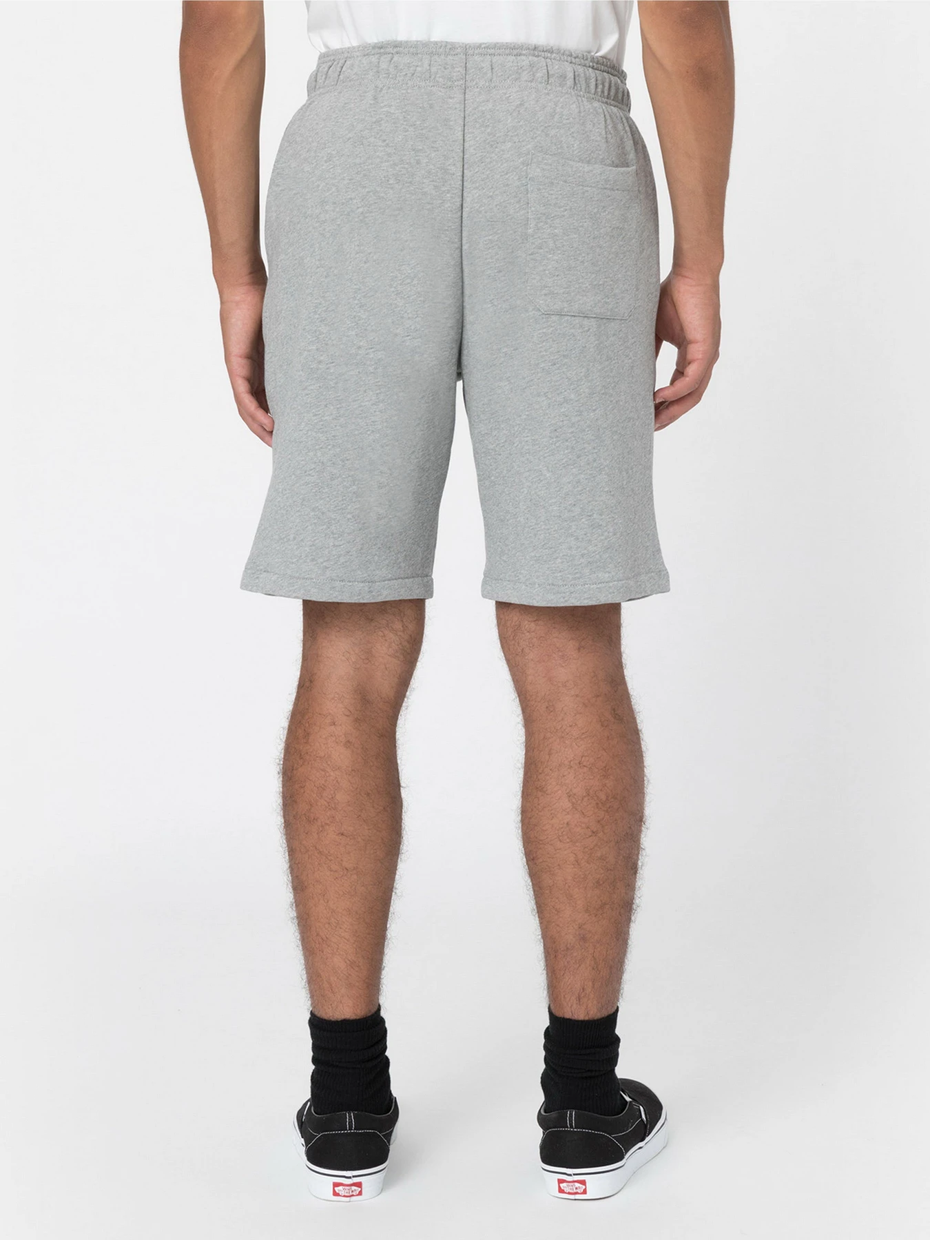 Шорти Dickies Mapleton модель DK0A4Y83GYM1 Фото