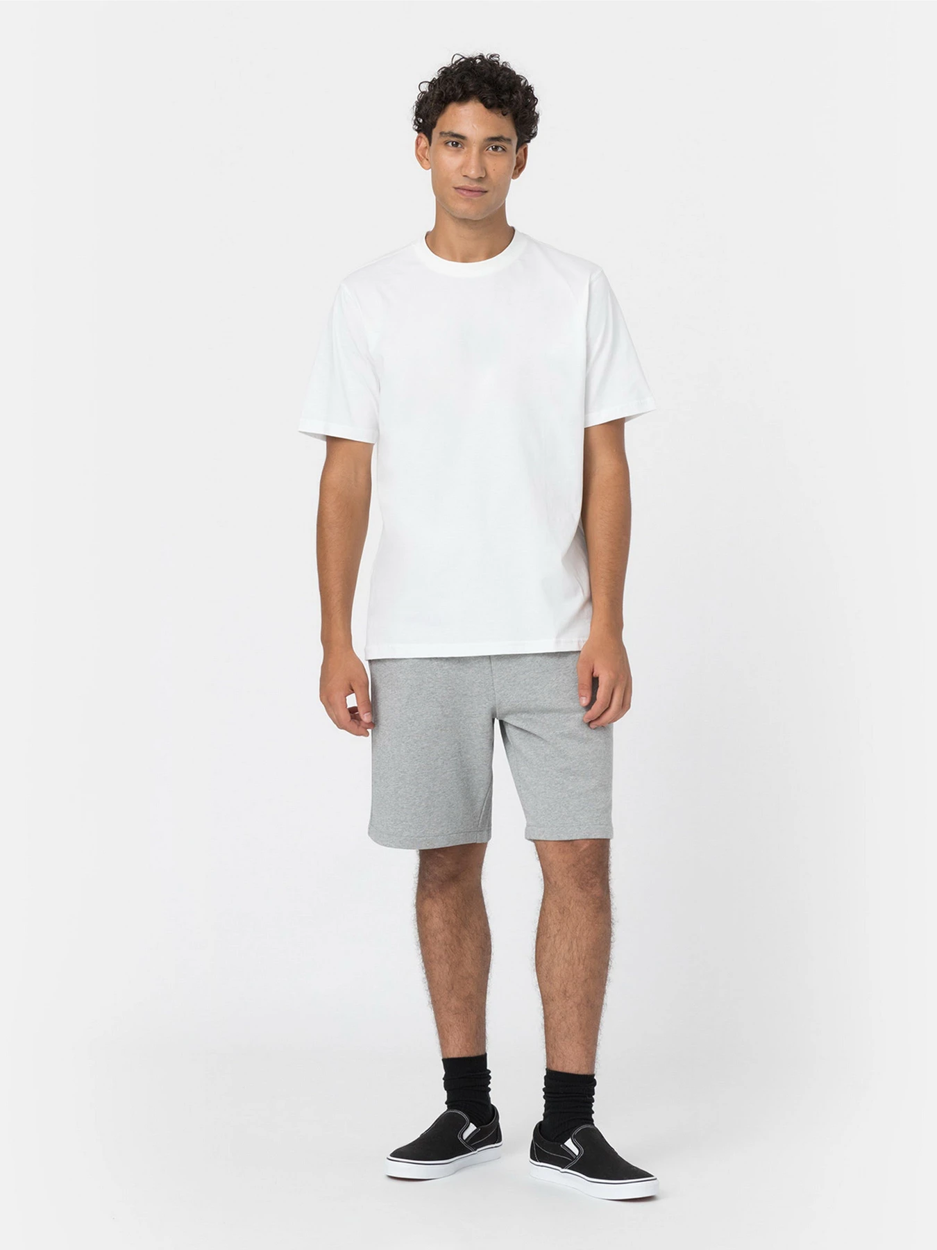 Шорти Dickies Mapleton модель DK0A4Y83GYM1 Фото