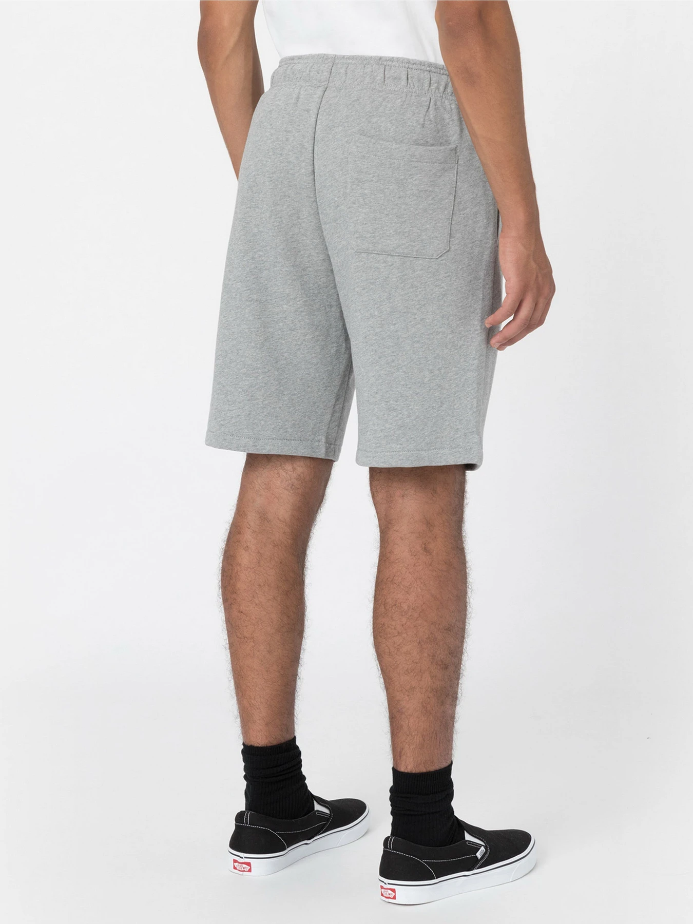 Шорти Dickies Mapleton модель DK0A4Y83GYM1 Фото