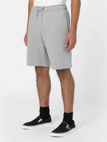 Шорти Dickies Mapleton модель DK0A4Y83GYM1 Фото