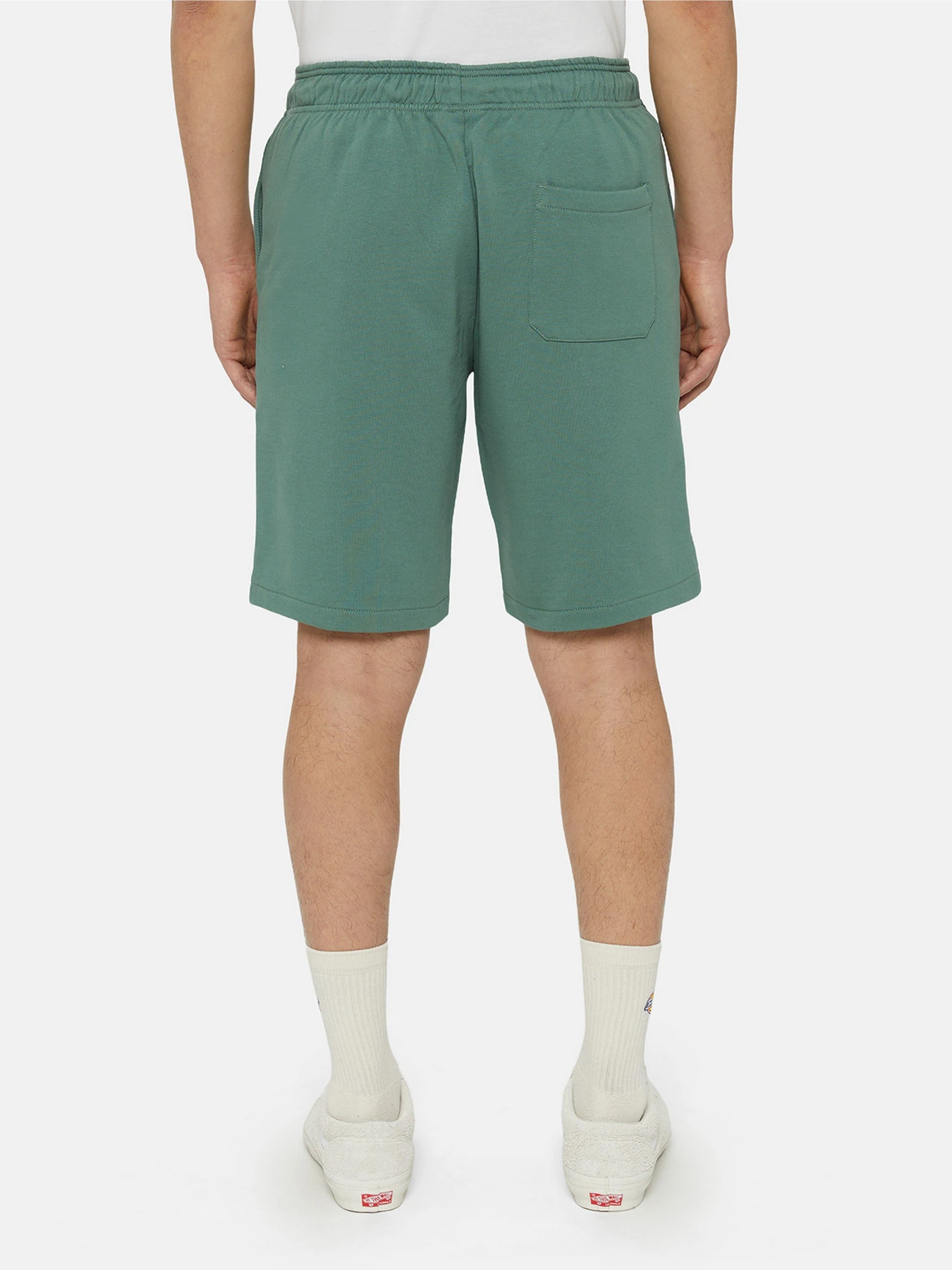 Шорти Dickies Mapleton модель DK0A4Y83H151 Фото