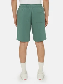 Шорти Dickies Mapleton модель DK0A4Y83H151 Фото