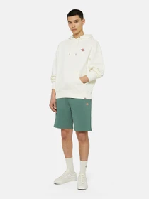 Шорти Dickies Mapleton модель DK0A4Y83H151 Фото