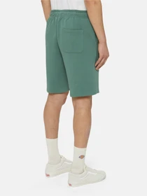 Шорти Dickies Mapleton модель DK0A4Y83H151 Фото