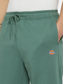 Шорти Dickies Mapleton модель DK0A4Y83H151 Фото