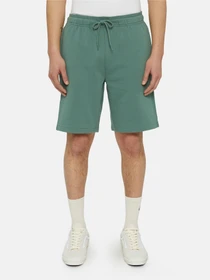 Шорти Dickies Mapleton модель DK0A4Y83H151 Фото