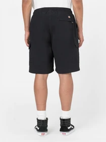 Шорты Dickies Jackson Cargo модель DK0A4YACBLK1 Фото