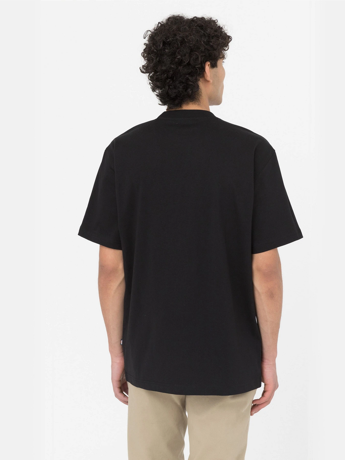 Футболки и поло Dickies Summerdale модель DK0A4YAIBLK1 Футболки и поло Dickies Summerdale модель DK0A4YAIBLK1 Фото