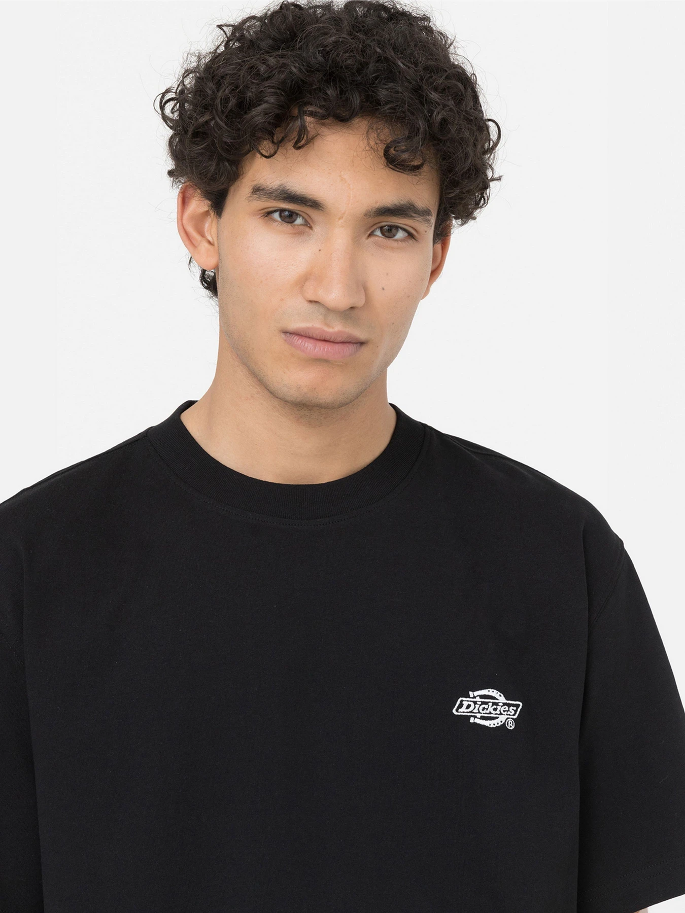 Футболки и поло Dickies Summerdale модель DK0A4YAIBLK1 Футболки и поло Dickies Summerdale модель DK0A4YAIBLK1 Фото