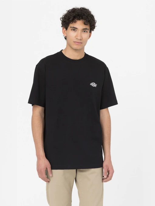 Футболки і поло Dickies Summerdale модель DK0A4YAIBLK1 Фото