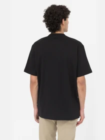 Футболки и поло Dickies Summerdale модель DK0A4YAIBLK1 Фото
