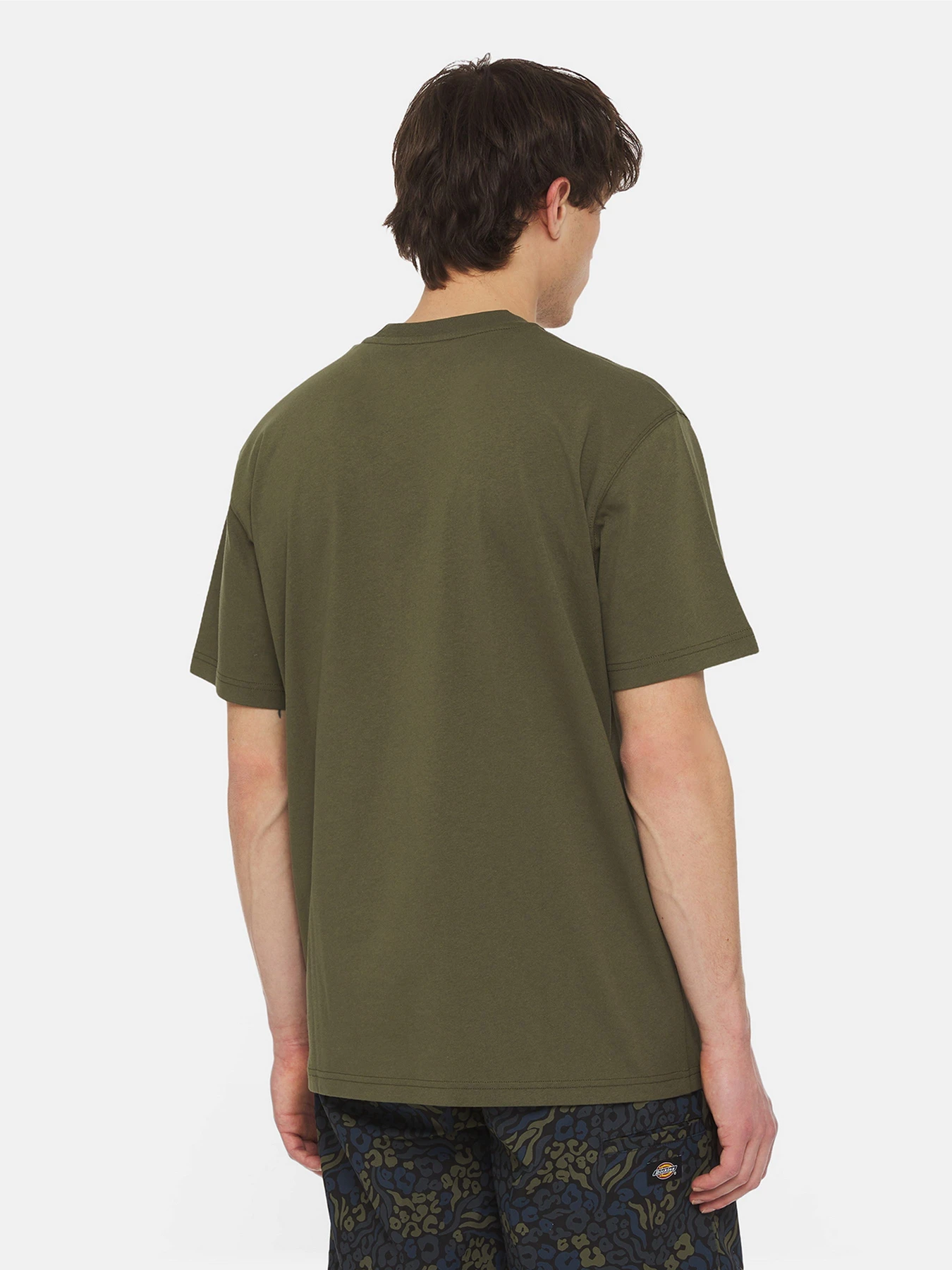 Футболки і поло Dickies Summerdale Ss модель DK0A4YAIMGR1 Фото