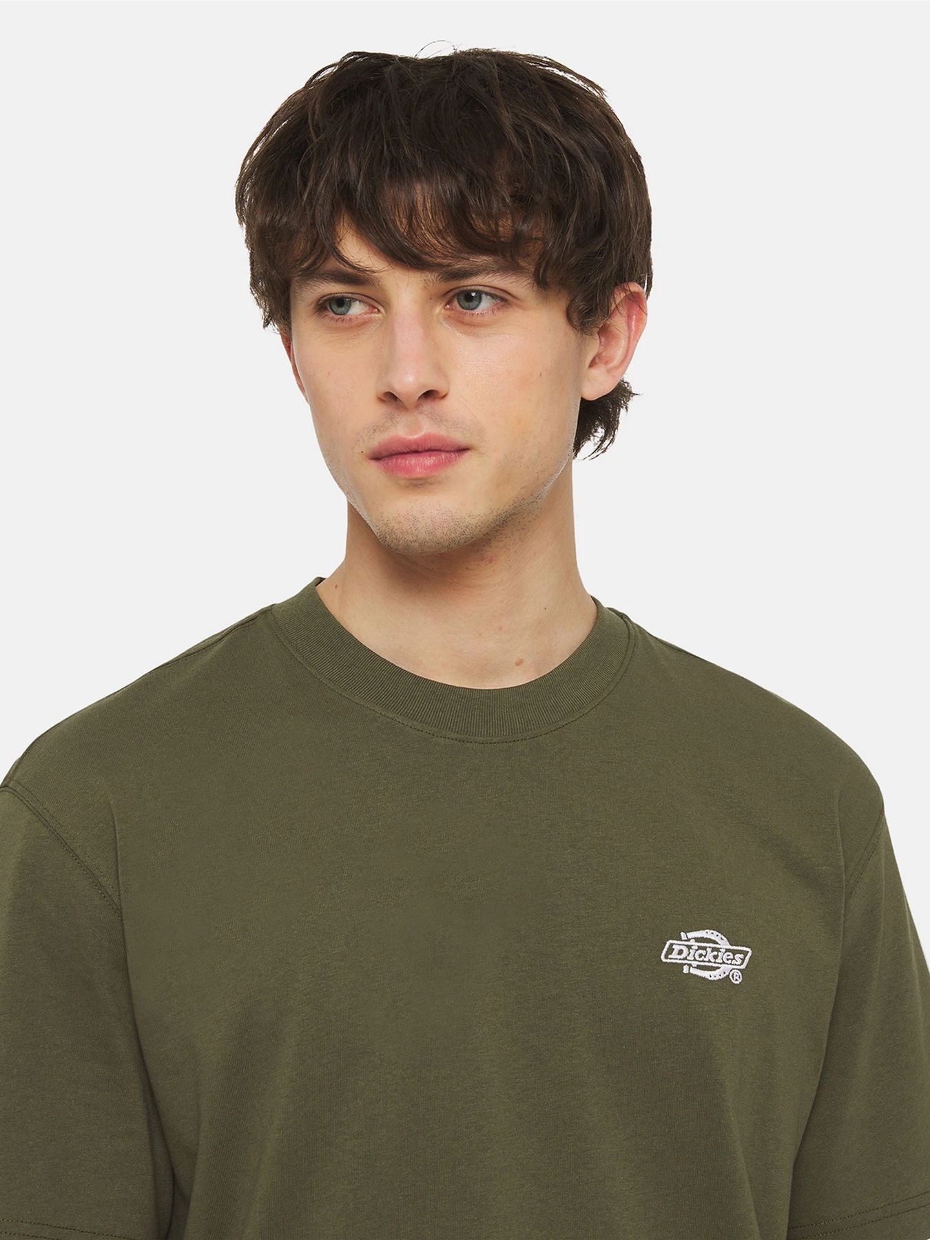 Футболки і поло Dickies Summerdale Ss модель DK0A4YAIMGR1 Фото