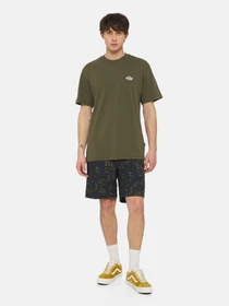 Футболки і поло Dickies Summerdale Ss модель DK0A4YAIMGR1 Фото