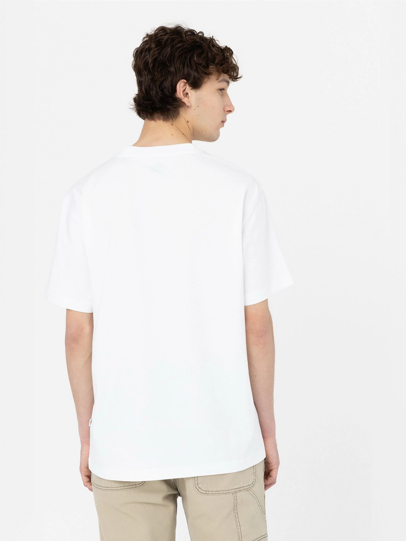 Футболки и поло Dickies Summerdale модель DK0A4YAIWHX1 Футболки и поло Dickies Summerdale модель DK0A4YAIWHX1 Фото