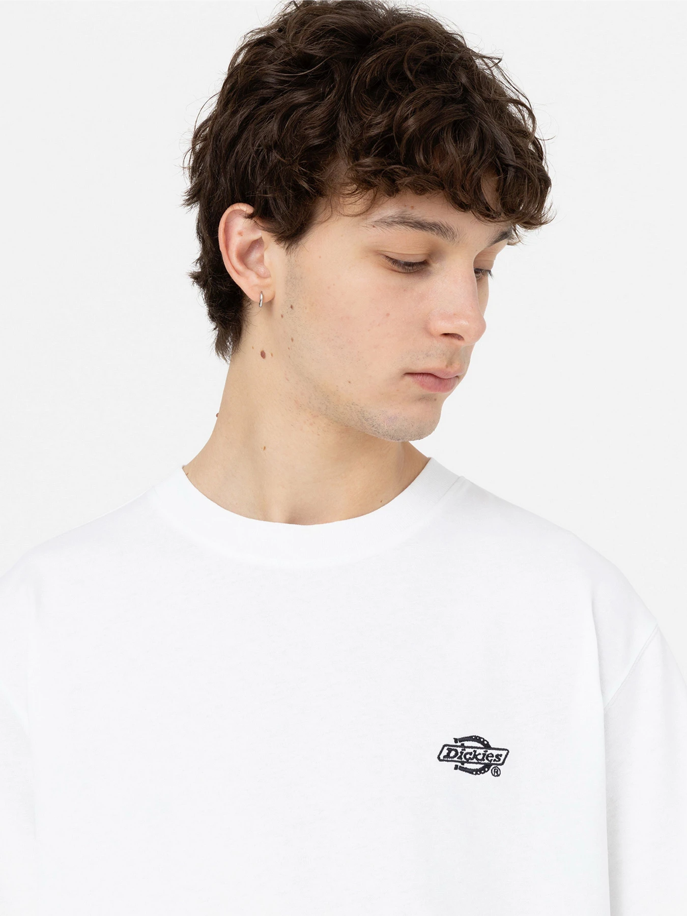 Футболки и поло Dickies Summerdale модель DK0A4YAIWHX1 Футболки и поло Dickies Summerdale модель DK0A4YAIWHX1 Фото