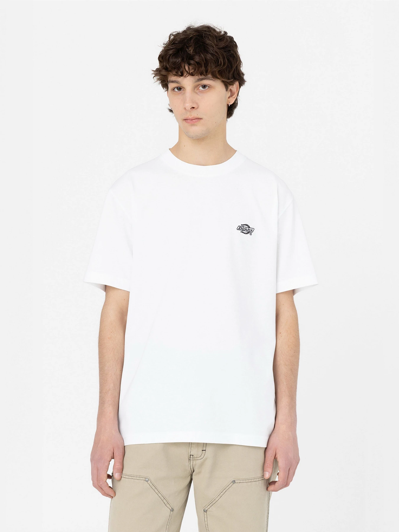 Футболки и поло Dickies Summerdale модель DK0A4YAIWHX1 Футболки и поло Dickies Summerdale модель DK0A4YAIWHX1 Фото
