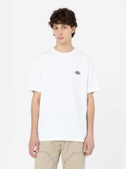 Футболки і поло Dickies Summerdale модель DK0A4YAIWHX1 Фото
