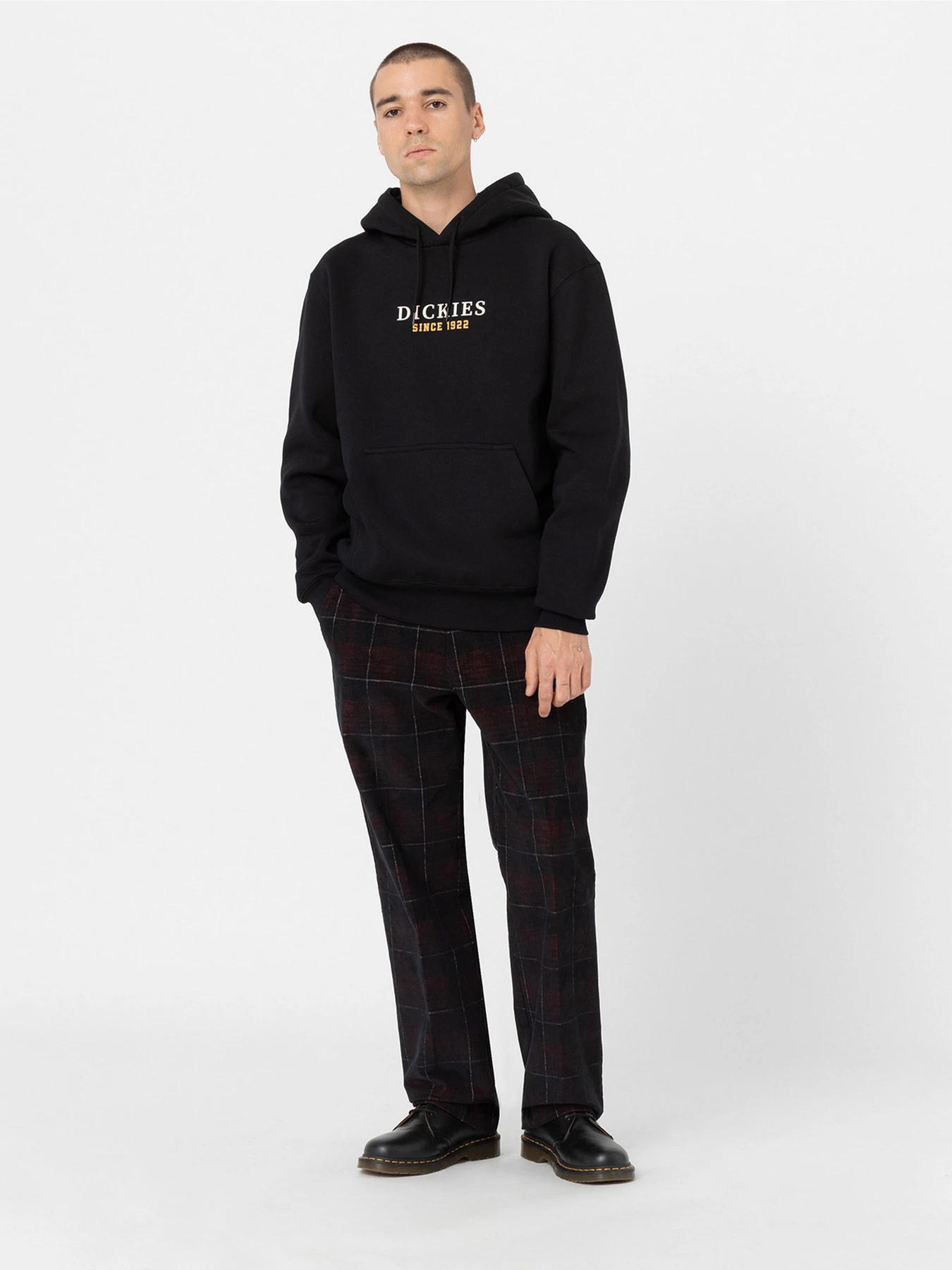 Худі та світшоти Dickies Park модель DK0A4YEHBLK1 Худі та світшоти Dickies Park модель DK0A4YEHBLK1 Фото