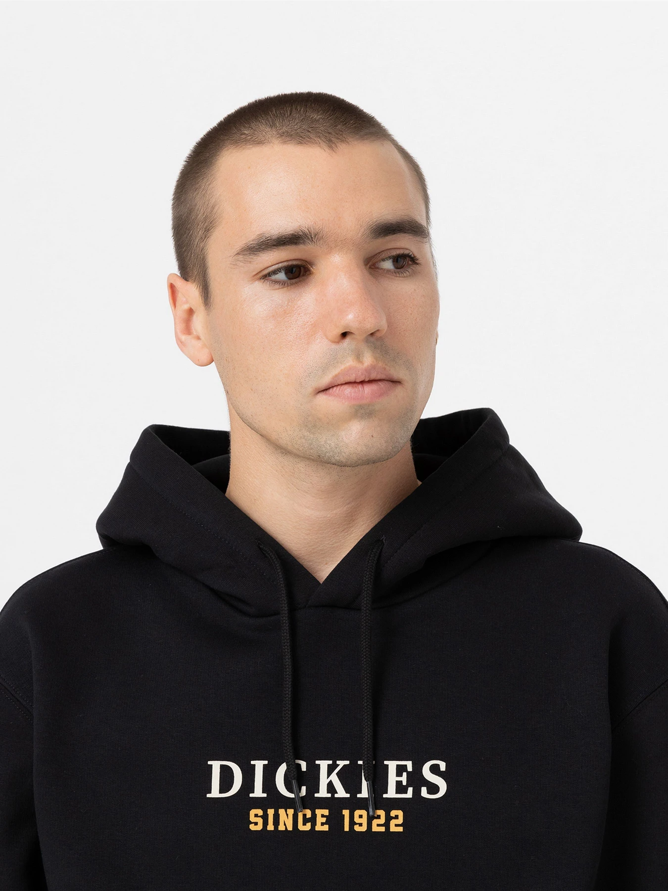 Худі та світшоти Dickies Park модель DK0A4YEHBLK1 Худі та світшоти Dickies Park модель DK0A4YEHBLK1 Фото