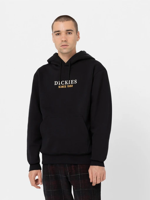 Худі та світшоти Dickies Park модель DK0A4YEHBLK1 Фото