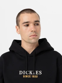 Худі та світшоти Dickies Park модель DK0A4YEHBLK1 Фото