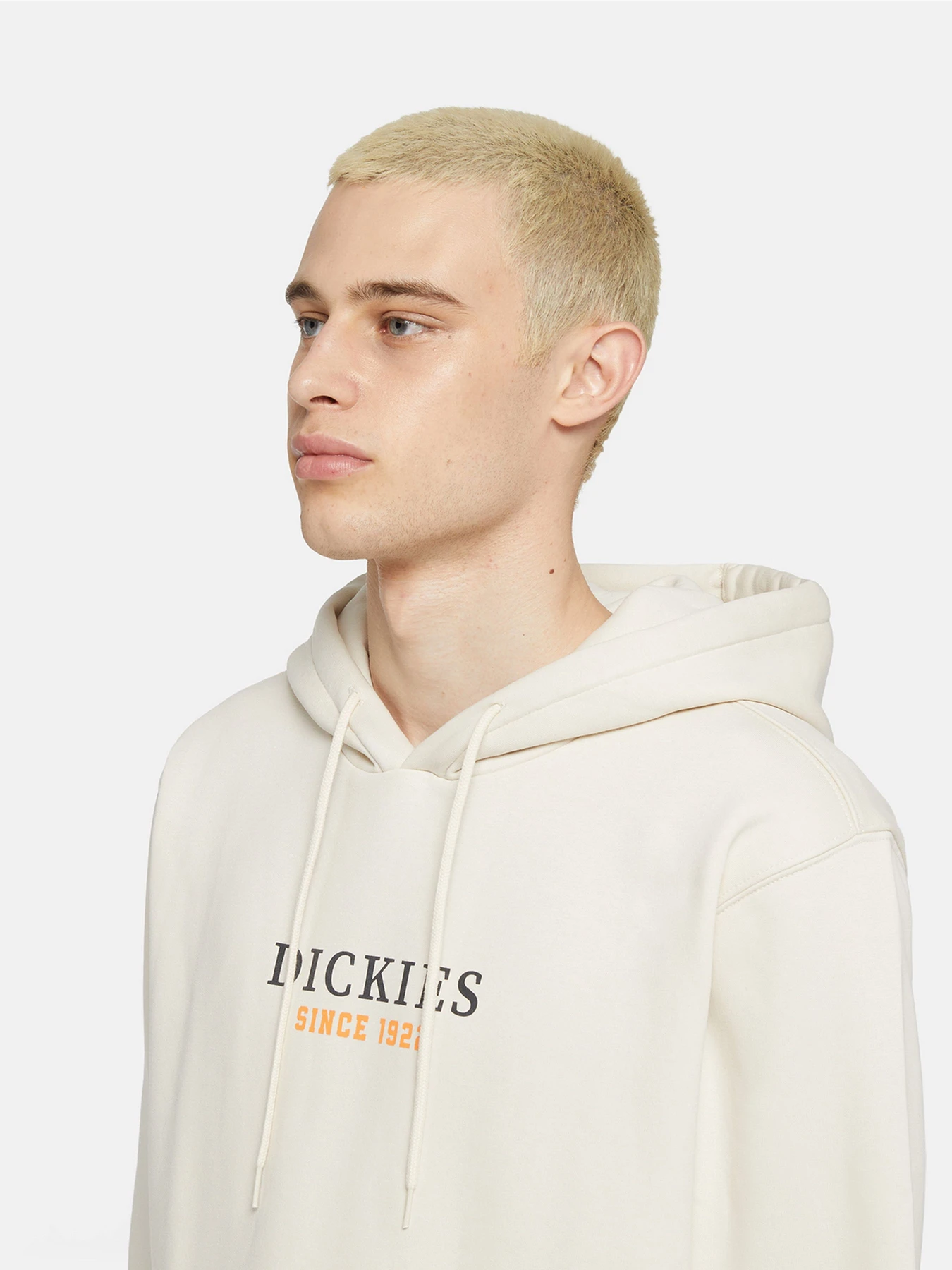 Худі та світшоти Dickies Park модель DK0A4YEHF901 Худі та світшоти Dickies Park модель DK0A4YEHF901 Фото