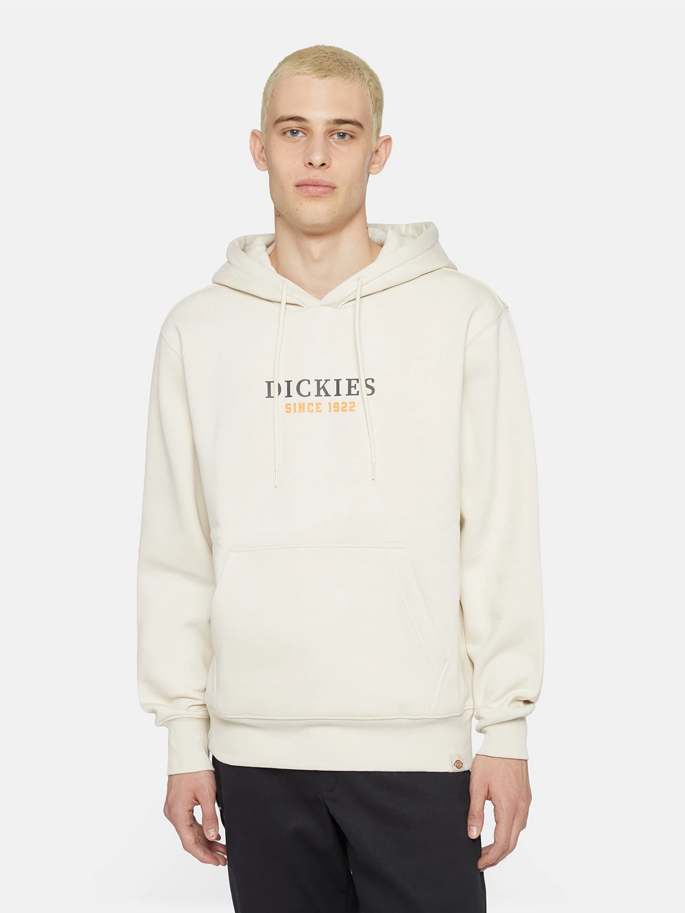 Худі та світшоти Dickies Park модель DK0A4YEHF901 Худі та світшоти Dickies Park модель DK0A4YEHF901 Фото