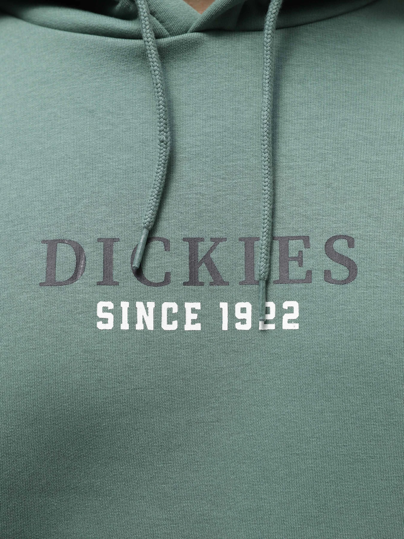 Худі та світшоти Dickies Park модель DK0A4YEHH151 Худі та світшоти Dickies Park модель DK0A4YEHH151 Фото