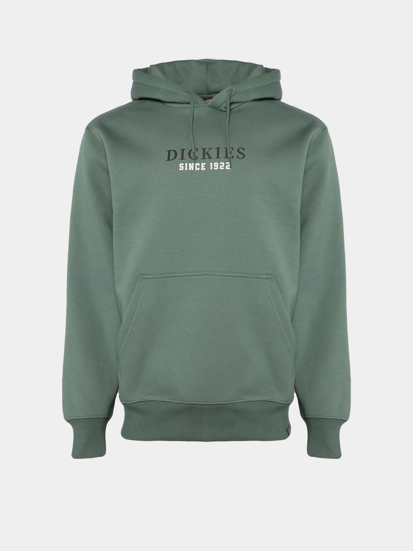 Худі та світшоти Dickies Park модель DK0A4YEHH151 Худі та світшоти Dickies Park модель DK0A4YEHH151 Фото