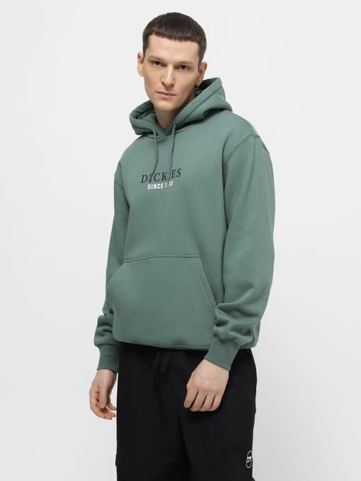 Худі та світшоти Dickies Park модель DK0A4YEHH151 Фото