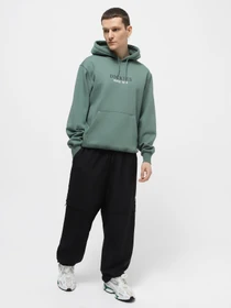 Худі та світшоти Dickies Park модель DK0A4YEHH151 Фото