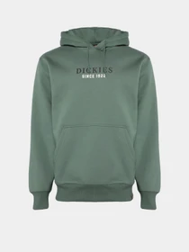 Худі та світшоти Dickies Park модель DK0A4YEHH151 Фото
